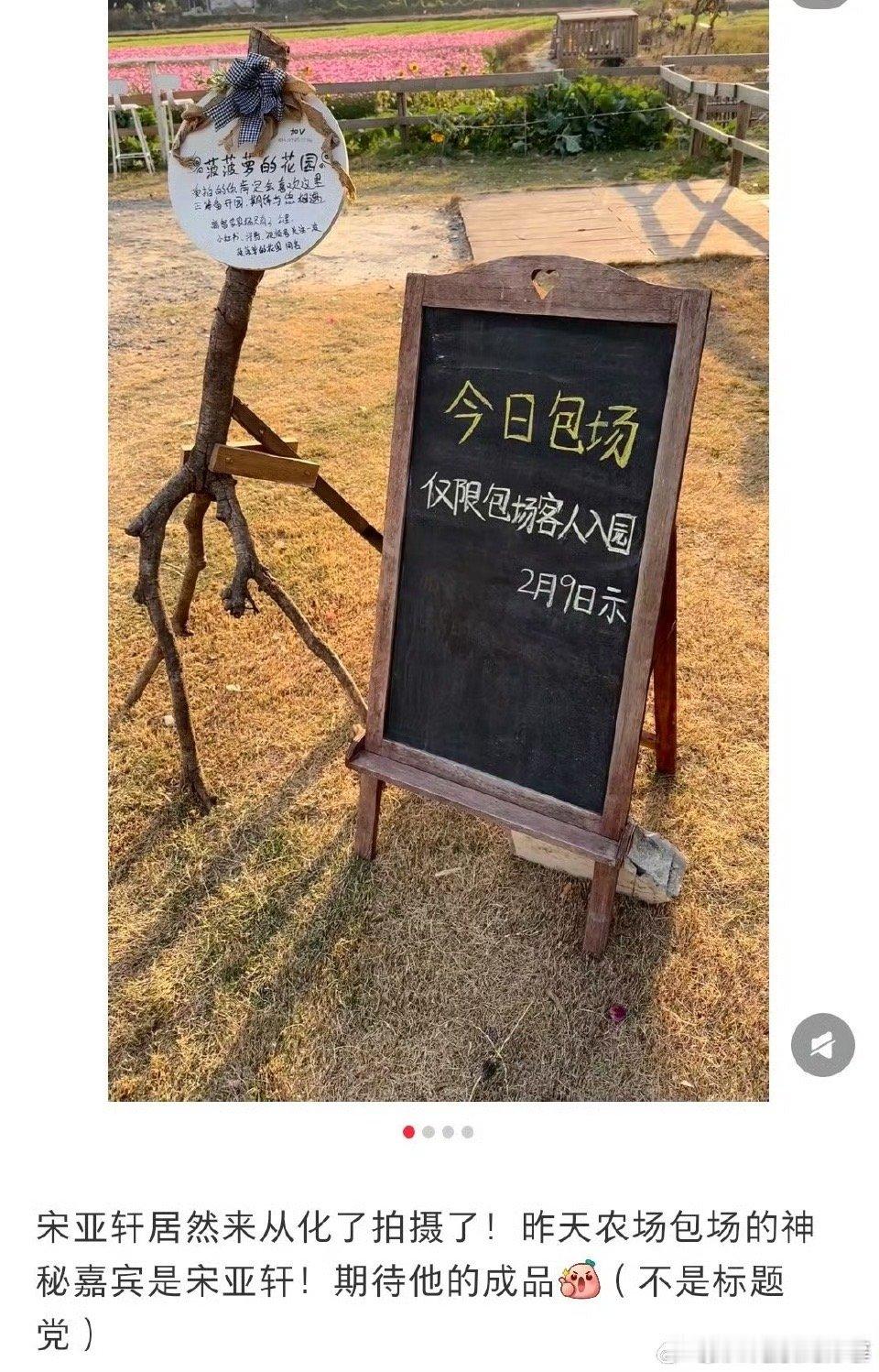 是不是拍了生日写真