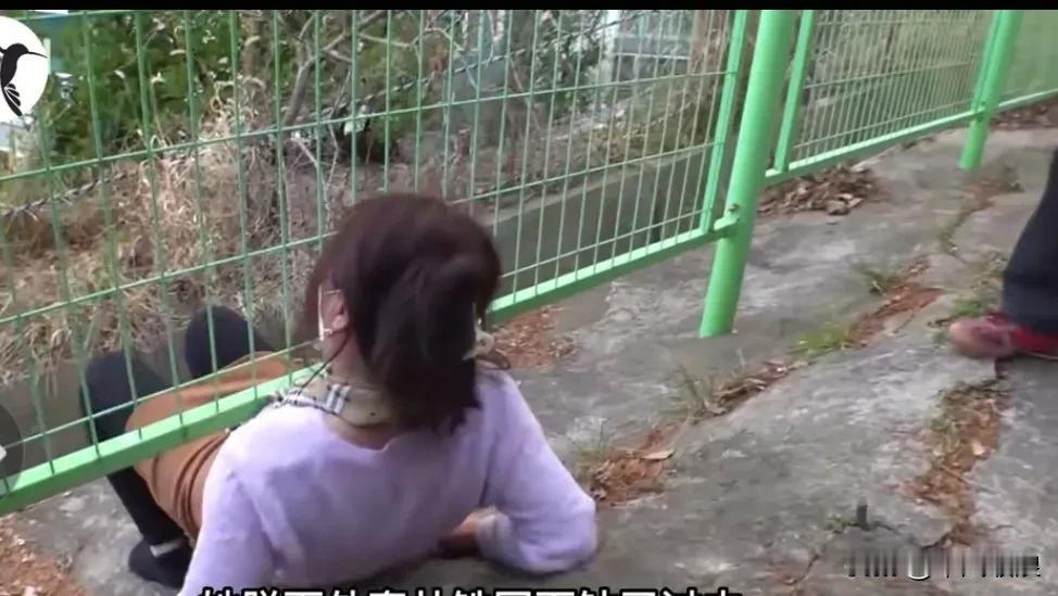 这主人也太不负责任了，嫌照顾小狗麻烦就从3楼弄下去，可怜的狗狗多处受伤。好在遇到