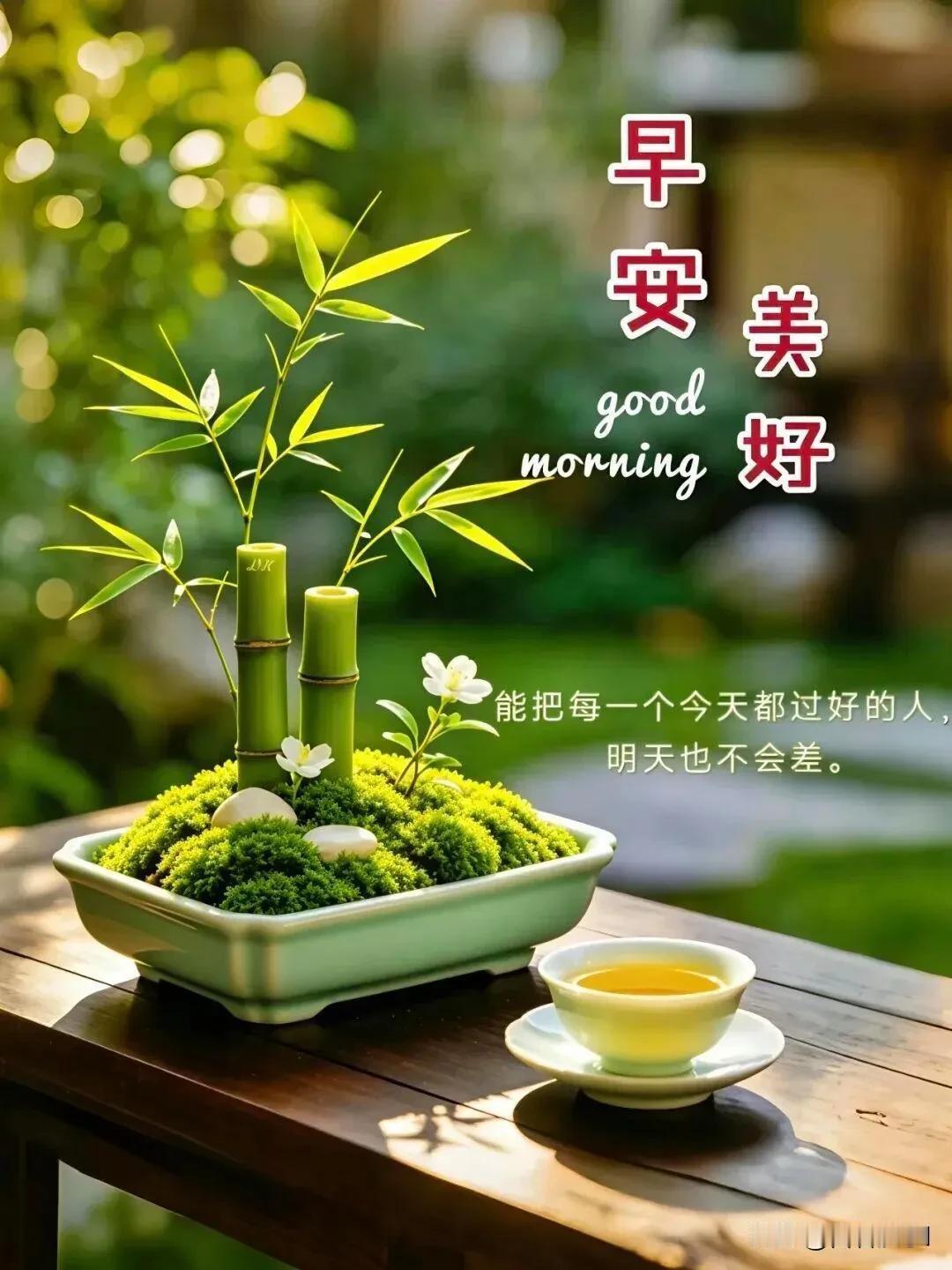 心怀清欢，把握当下，愿每一天都平安美好。