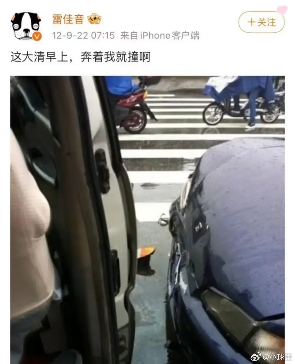 雷佳音早期发的微博，真的把日子过成了段子。吐槽自己胖，说“脸大脖子粗，不是大款就是伙夫”。发个自拍，