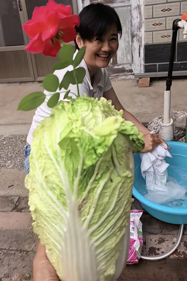 七夕节全网最幸福的女人！大白菜上插着一枝玫瑰花，狗尾草编的戒指——送给媳妇的七