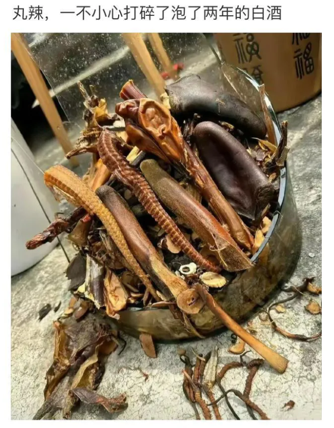 这白酒罐里都泡了些什么