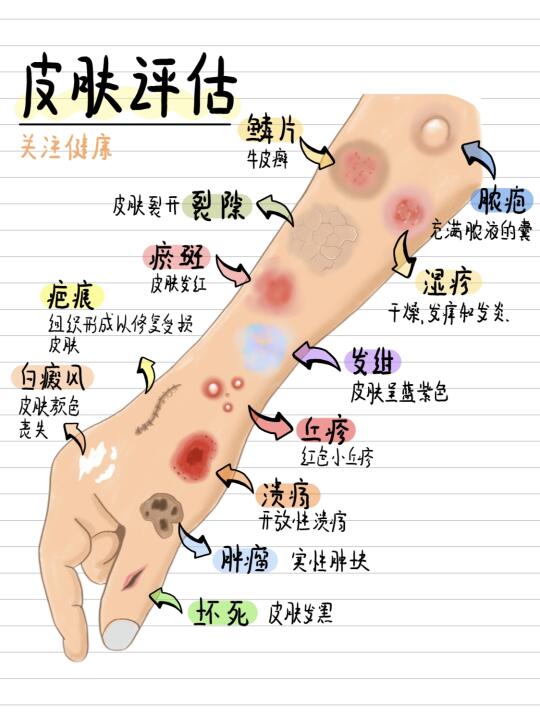 皮肤健康评估