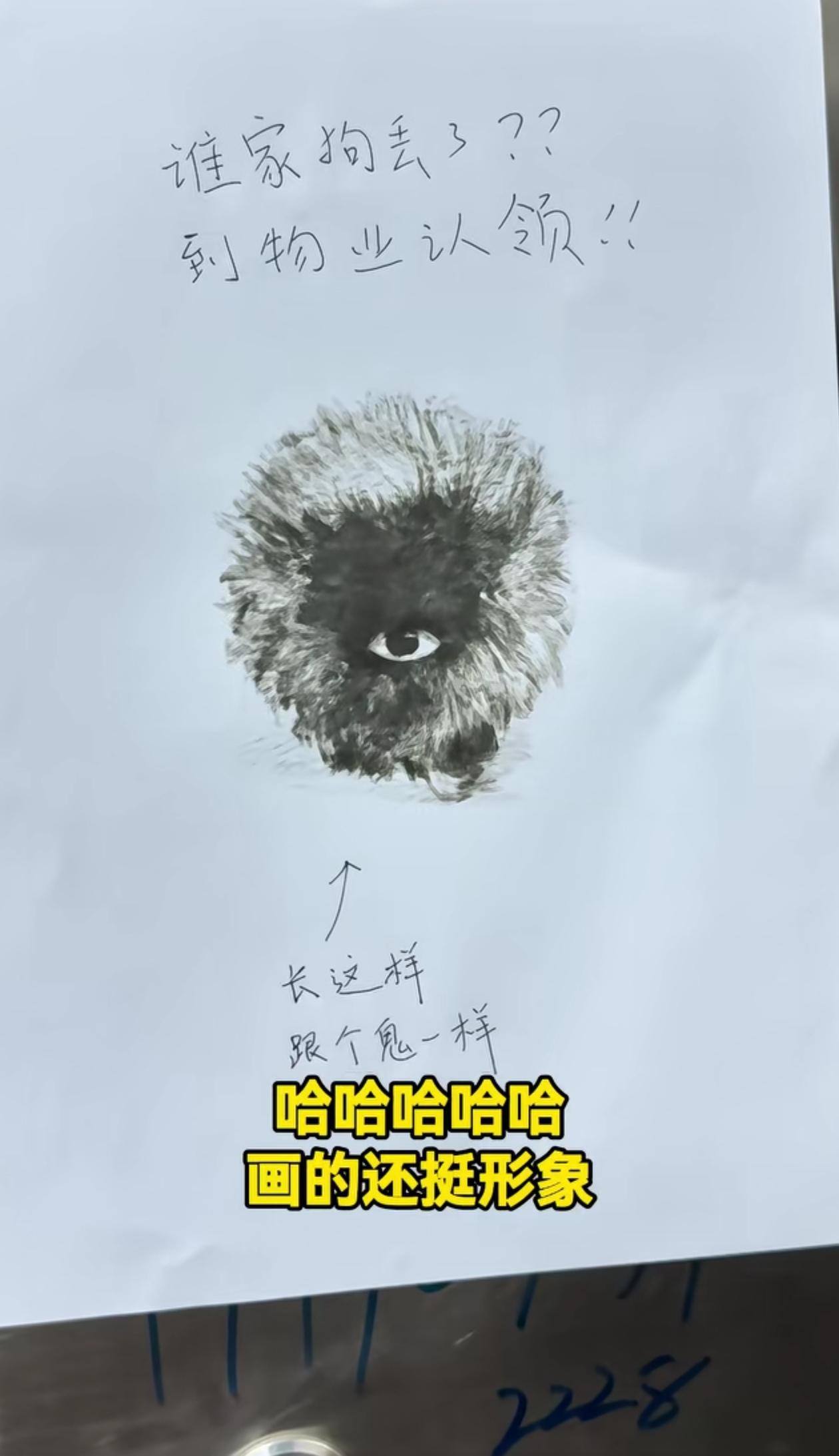 我还想呢谁家狗长这样眼睛长中间