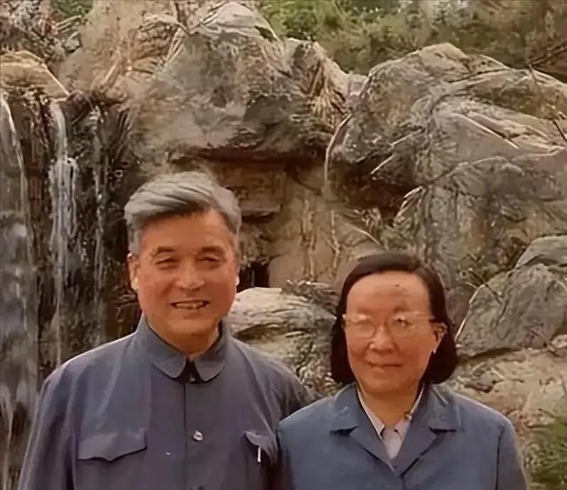 那天的北京城闷热得让人喘不过气。车窗摇下一半，邓稼先消瘦的脸庞在斑驳树影中若隐若