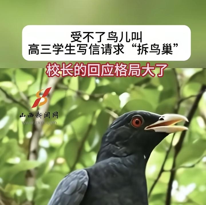 今天听一位家长反映，关于“挪鸟窝”事件，他们家长群相当一部分家长的反应和网友的反