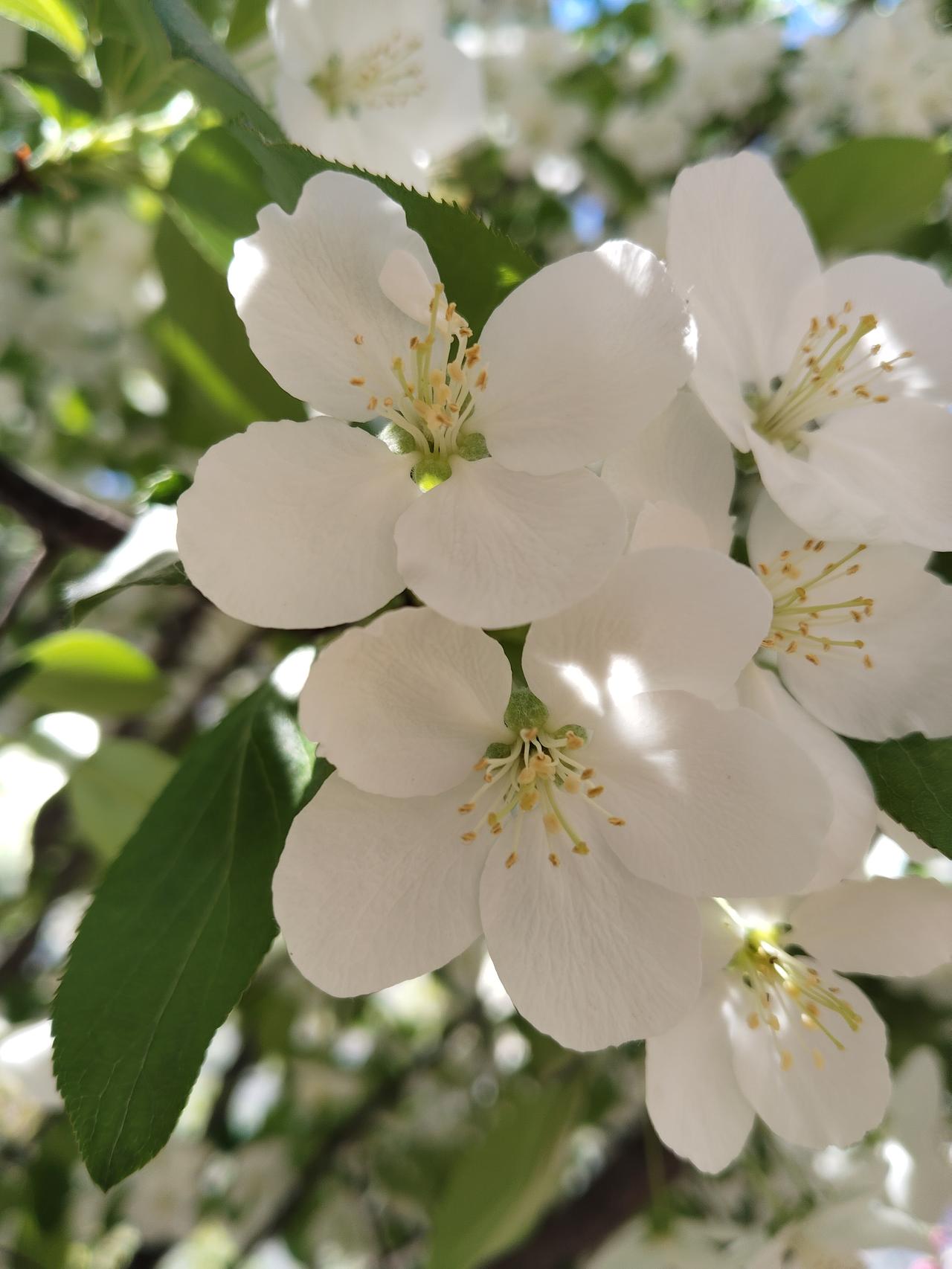 有人发文称，一个人无论你当的官再大，挣的钱再多，只要你没有帮助别人，你在别人眼