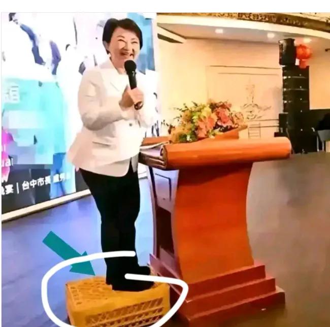郑丽文近日说卢秀燕是太阳，是共同的妈妈，称‘’太阳‘’显然是叽讽话，卢哪配？！有