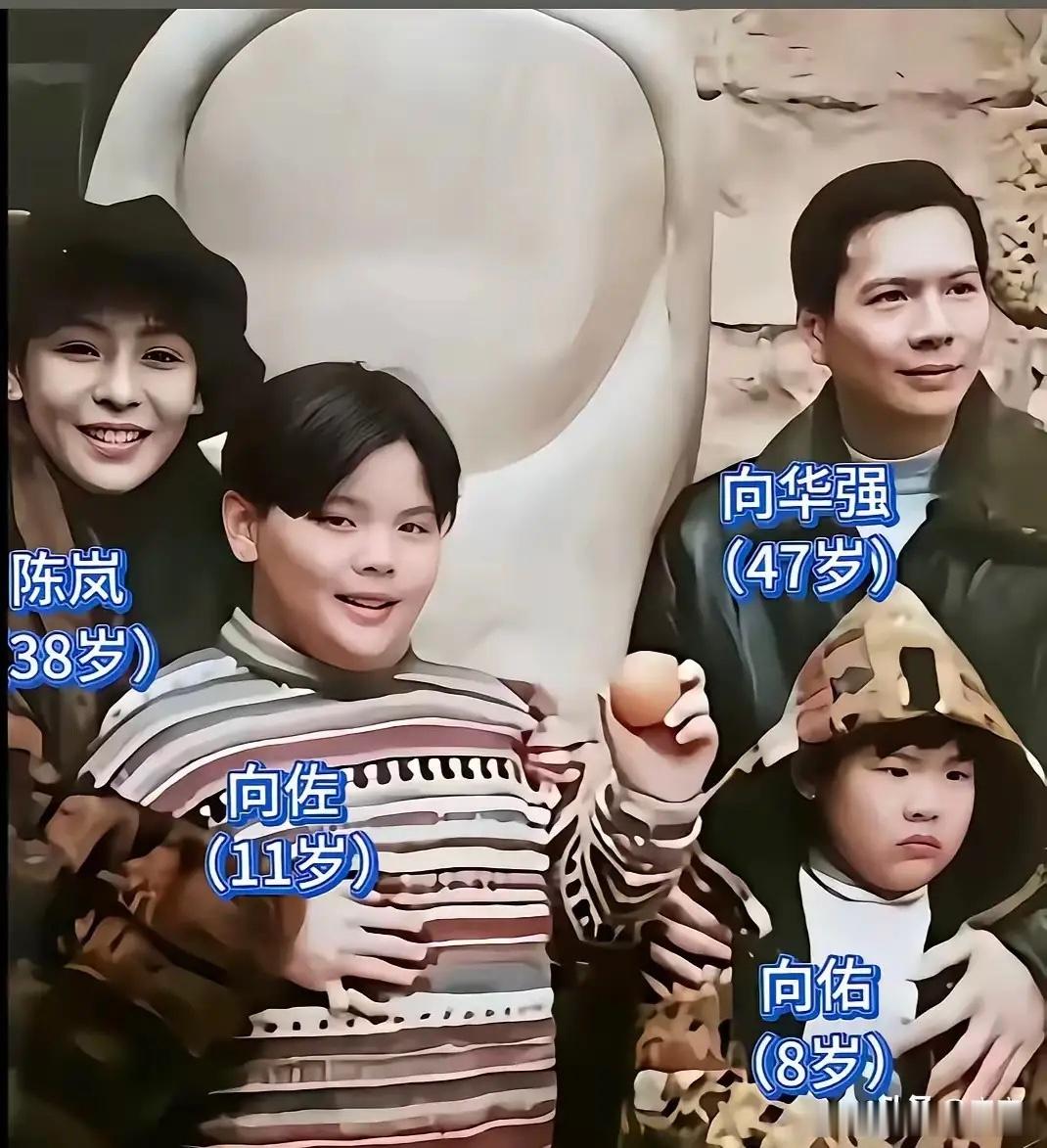向佐说：“我的妈妈非常疼爱她的孙辈，她说她这辈子是不会再允许让孙辈出国留学的。可
