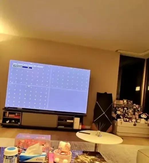 王思聪东京豪宅的曝光，像一场奢华与可爱的奇妙碰撞。女友懒懒全程跟随！表参道地