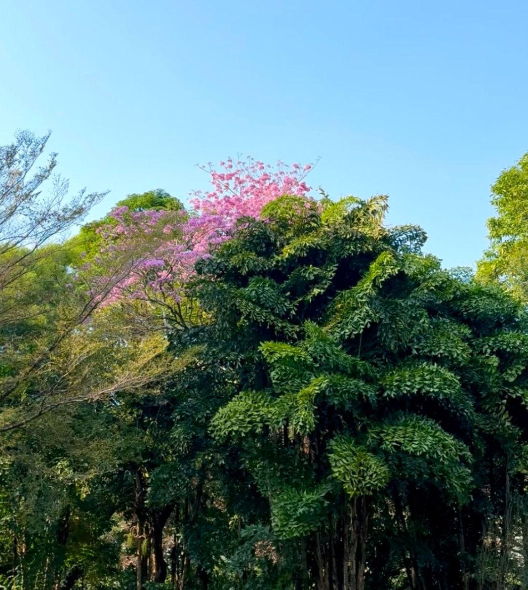 抬头偶遇的美好，今天龙抬头，看到这个！好运来好运来👍