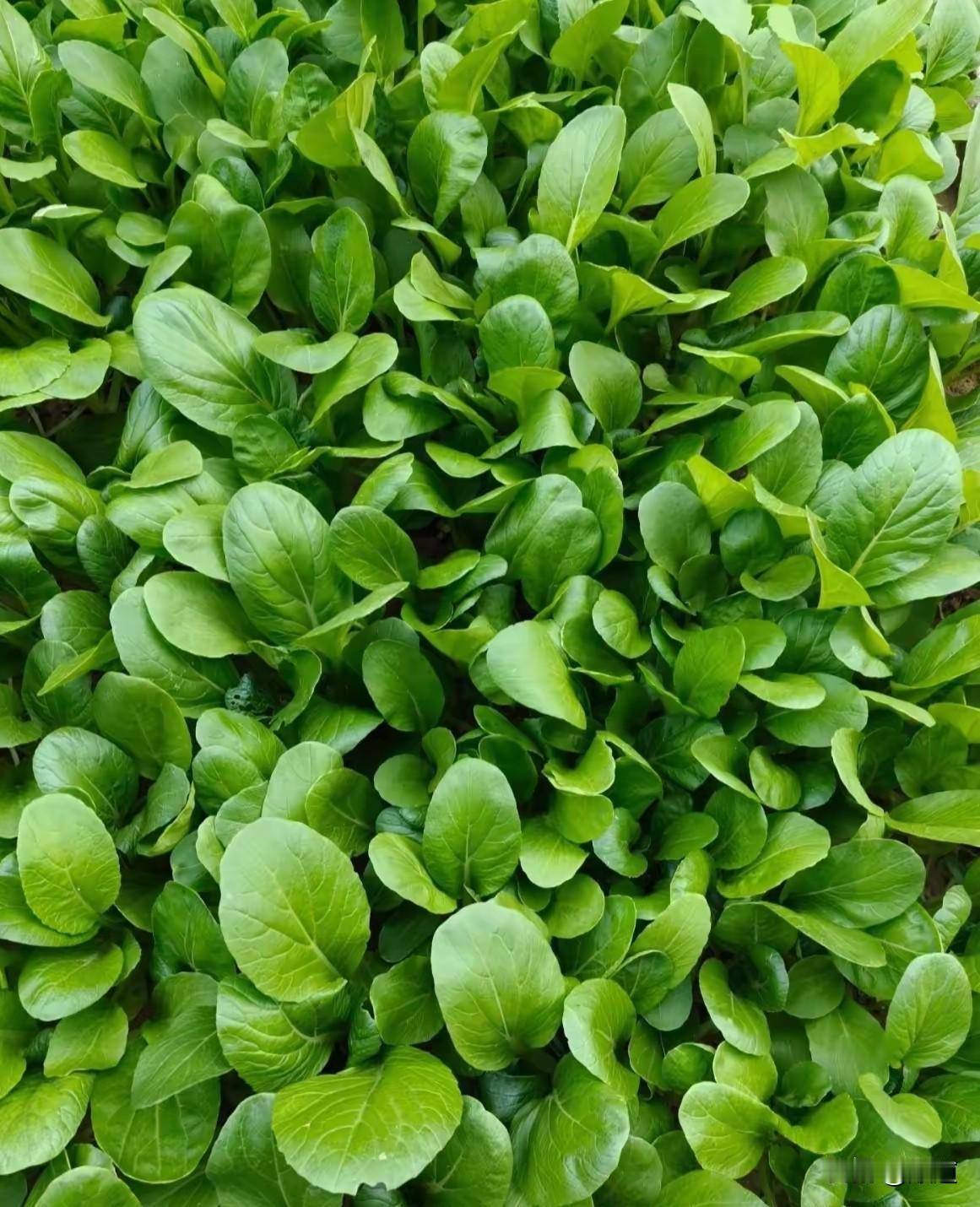 离异女子34岁带一女儿嫁给了同是34岁的头婚老公，俩人又生了一个儿子3岁了。两