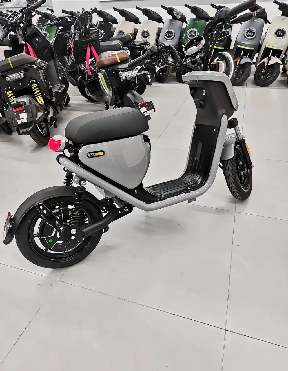 这玩意儿虽小，关系到全国上亿家庭，几亿人呀！全国推广，影响极大，为什么不找几个