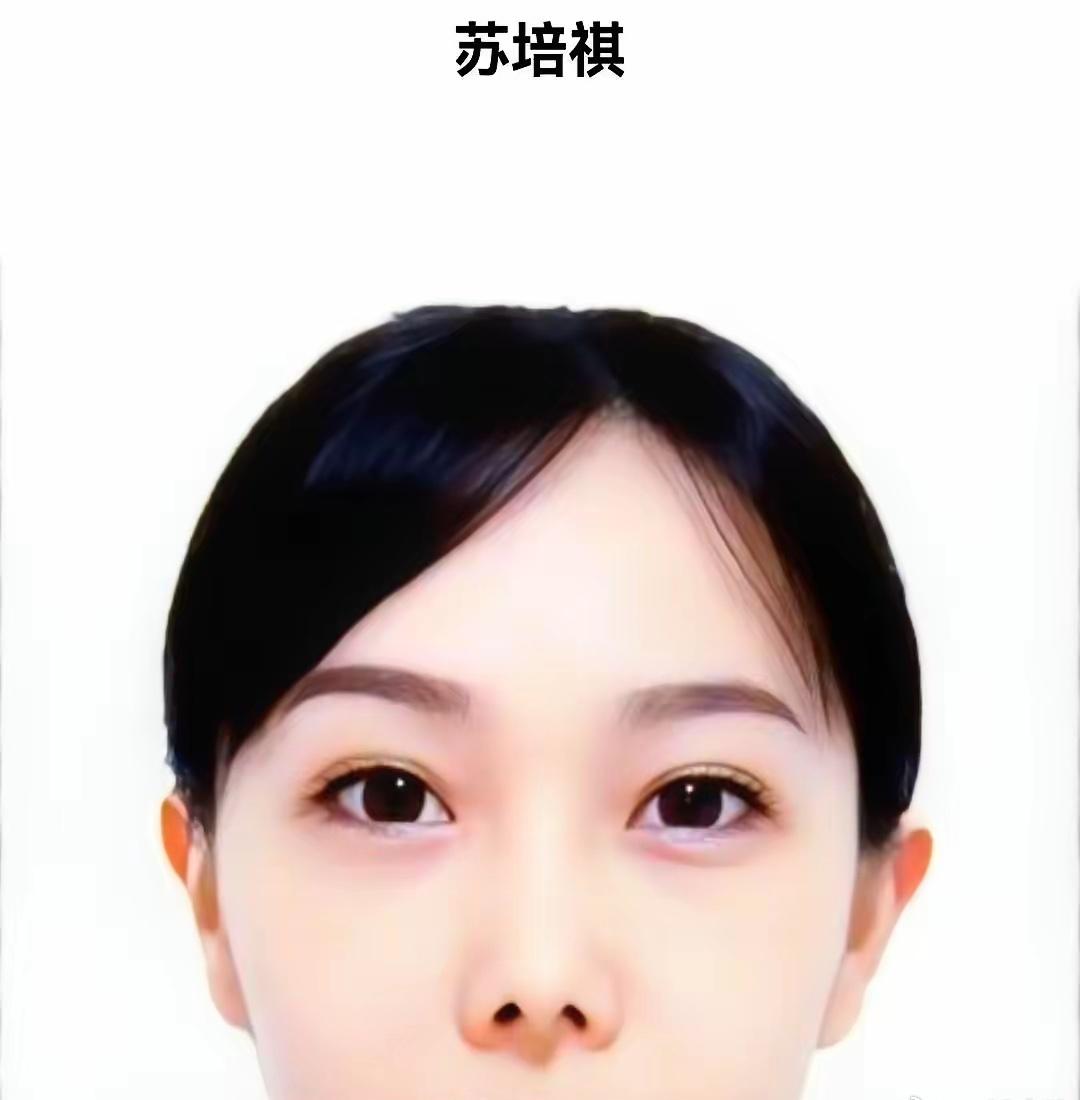 有句话叫“没编制，就不用太拼命”。平南刑侦大队，一个94年的辅警姑娘苏培祺走了