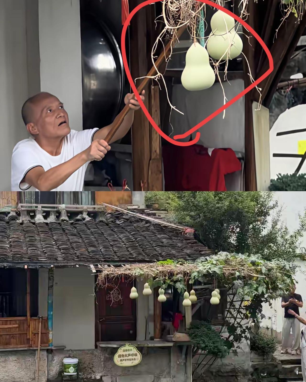 绍兴葫芦娃爷爷估计现在头都大了，不是因为游客专门跑过来打卡拍照，也不是因为网