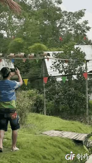 下饺子也不过如此。