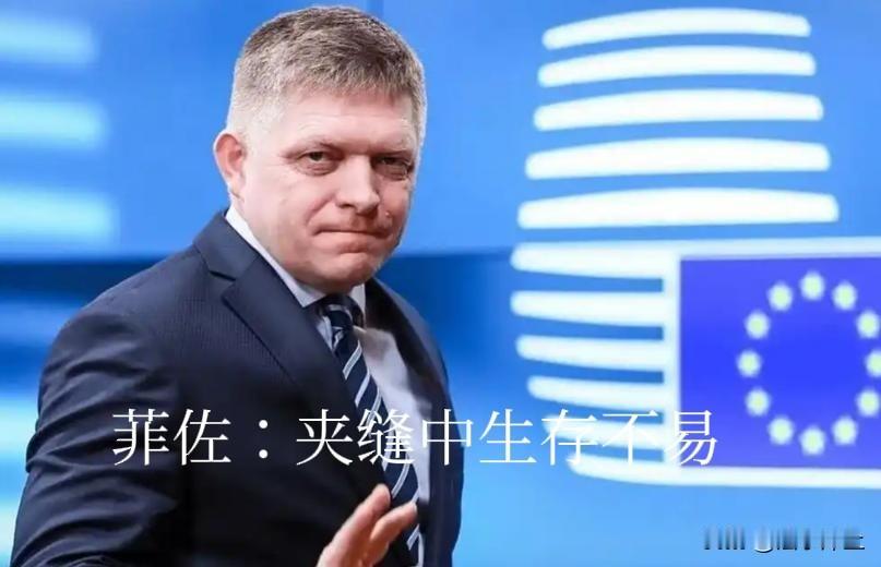 欧尔班下台后，斯洛伐克菲佐在欧盟中成为孤独的“亲俄者”，虽然波罗的海三国、波兰对