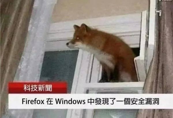 科技新闻：Firefox在Windows中发现了一个安全漏洞​​​