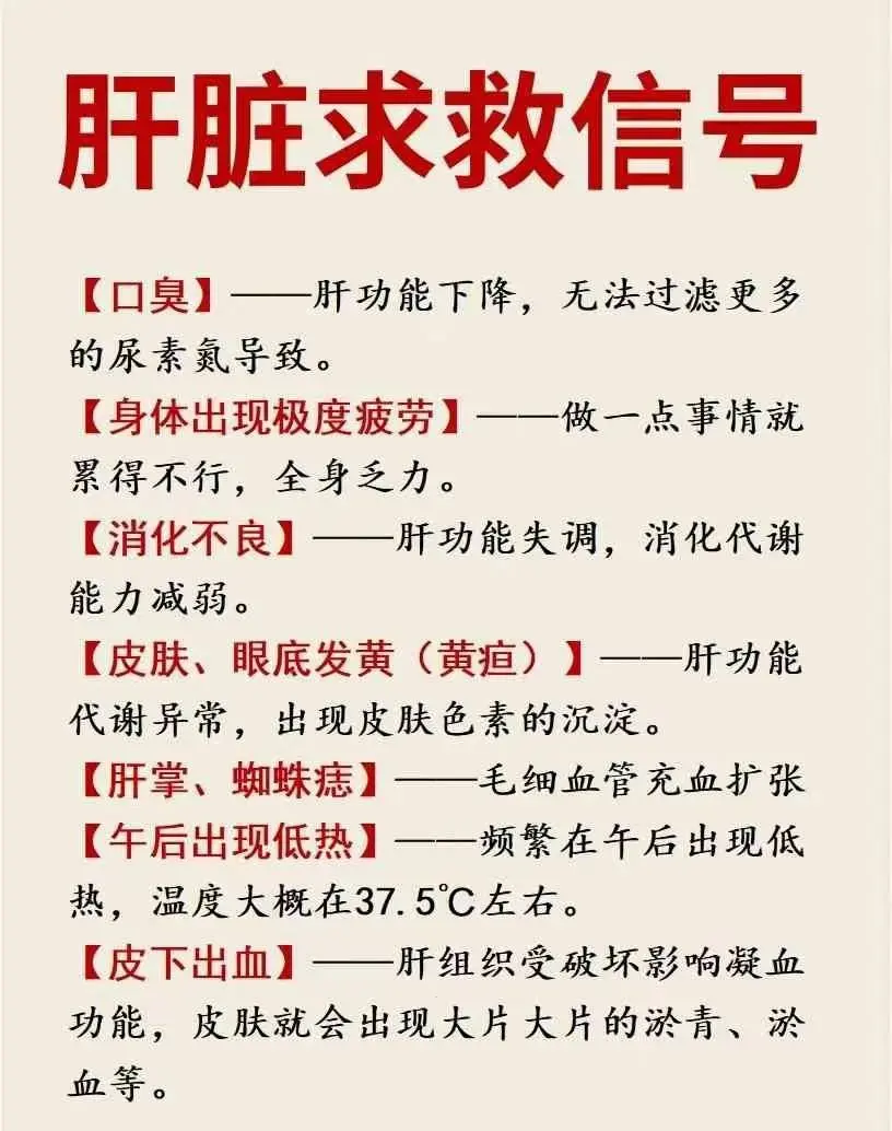 肝脏 蜘蛛痣 口臭 健康科普 肝病教授陈士俊