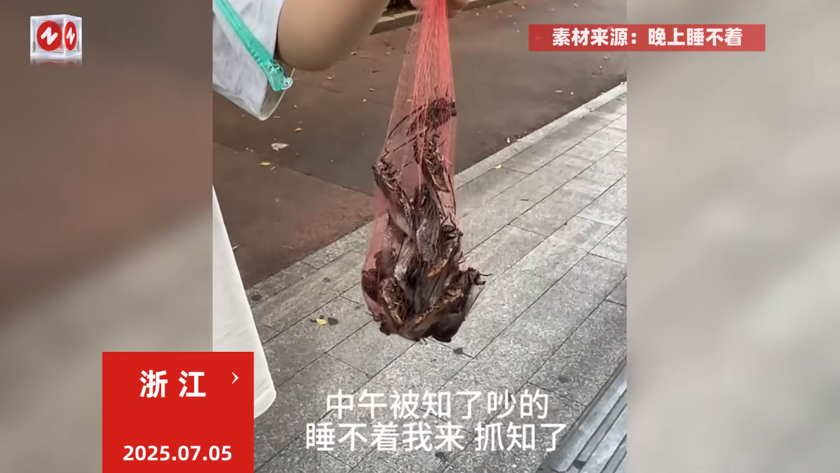 “这简直是捡钱啊！”7月5日，浙江，一男子在家里午睡的时候，被树上的知了猴吵的睡
