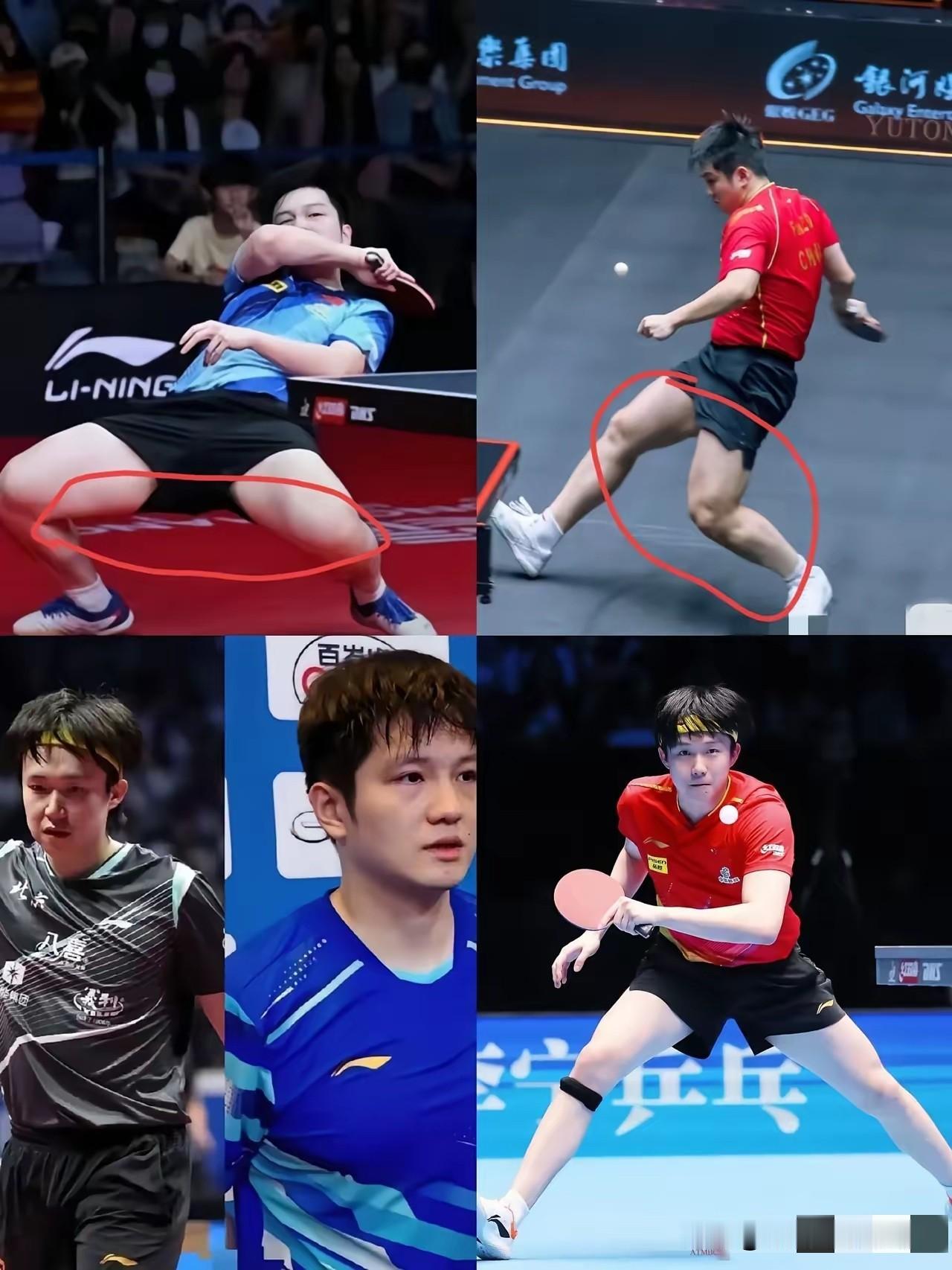 细节定胜负！樊振东靠节奏控制击溃王楚钦，邓亚萍点出关键短板