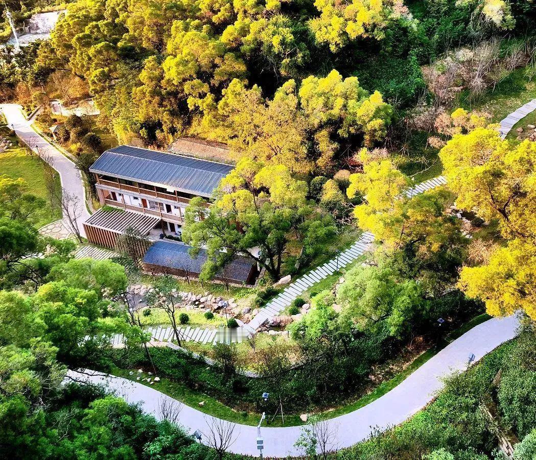 厦门：半山绿树半山金站在厦门的高处望下去，最动人的从来不是连片的高楼，而是山与