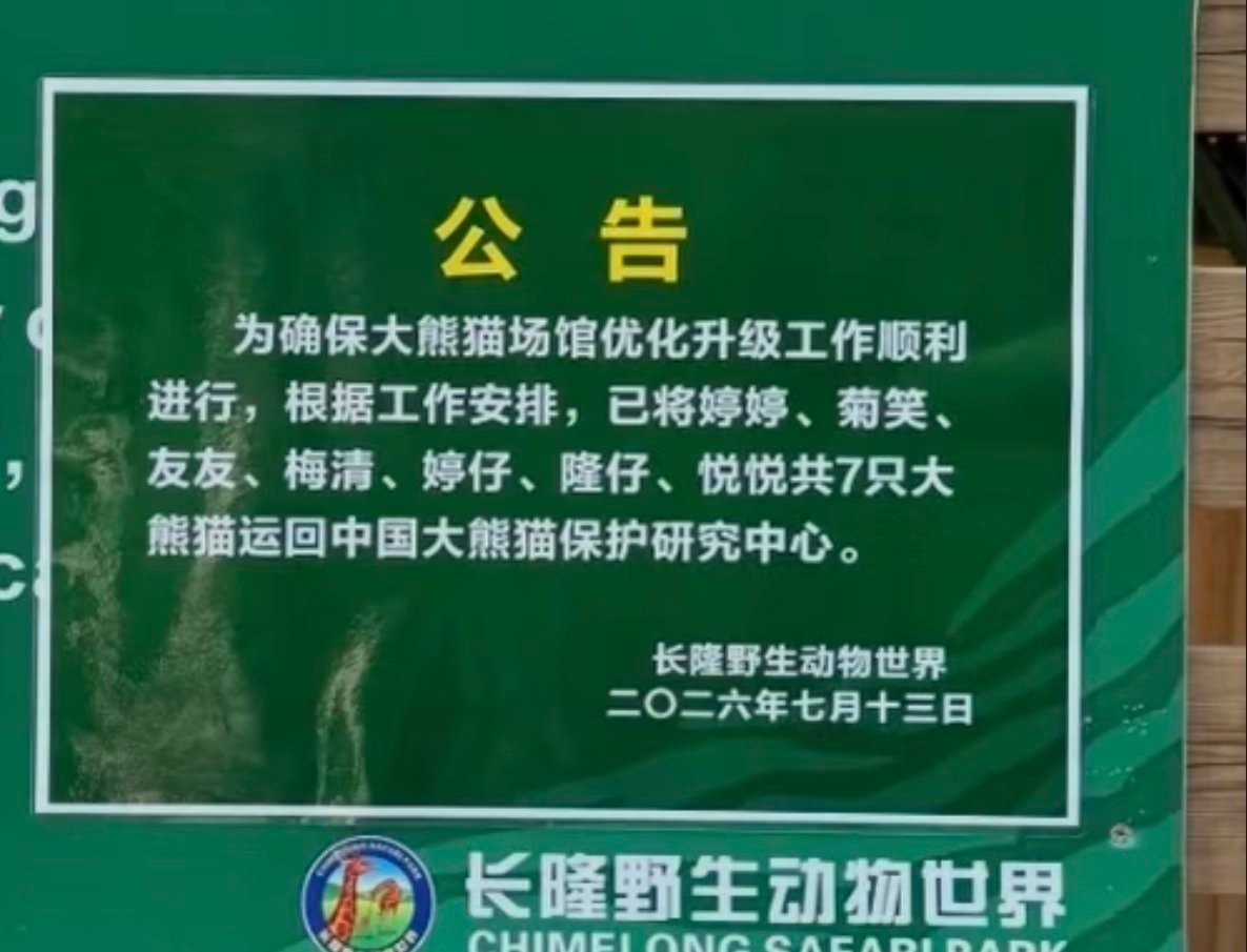 长隆的7只熊猫要回四川了