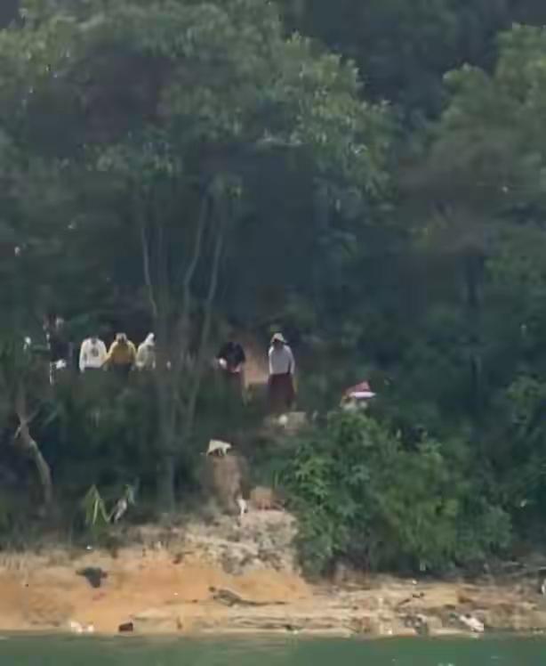 在水库放生猫？这是造了多大的孽，才会想到放生这一出？我实在不明白，这些年怎么