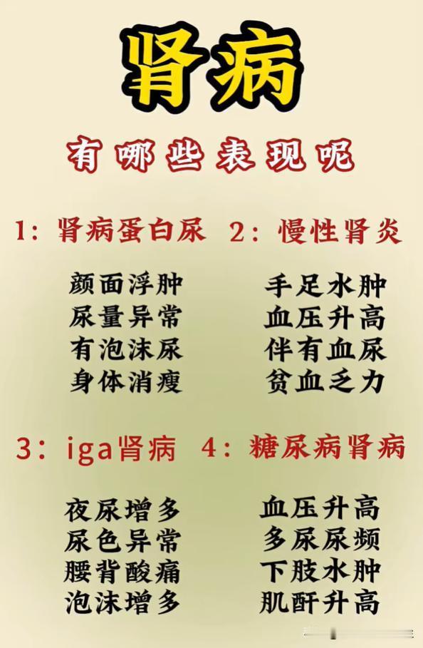 蛋白尿、肾炎有什么表现？对照自查肾脏信号