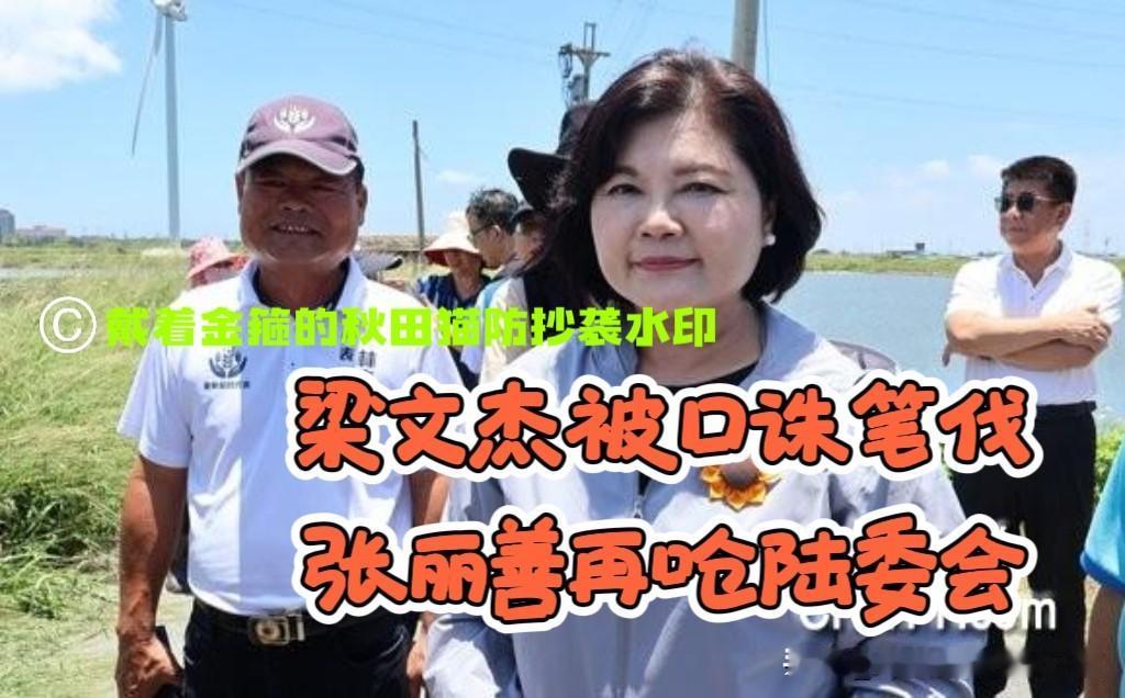 陆委会被舆论围攻！继卢秀燕、蒋万安、罗智强、许淑华、李四川之后，张丽善再次怒呛