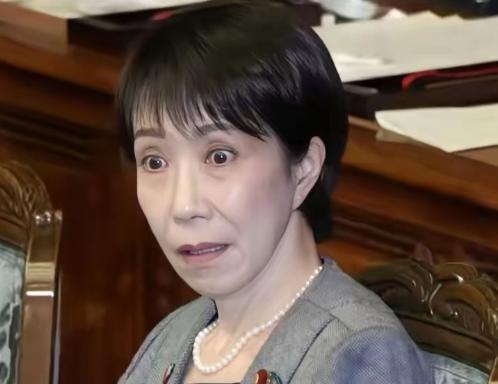 高市早苗现在终于明白了，说了这样一段话！ 2月25日，在日本参院全体会议上，