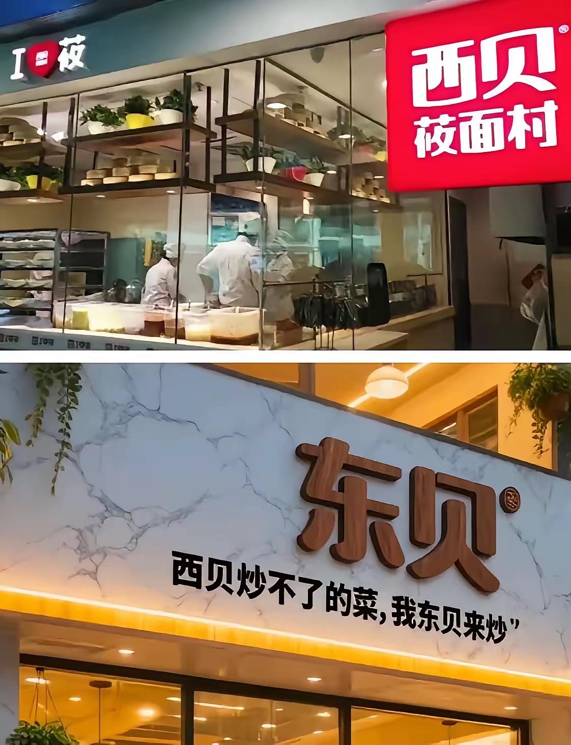 “东贝”注册，西贝傻眼？这波操作太扎心！前经理带着西贝的培养经验，转头就“东”字