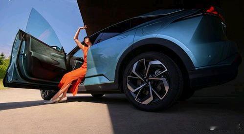 特斯拉ModelY（销量）-2023：122.3万辆​-2024