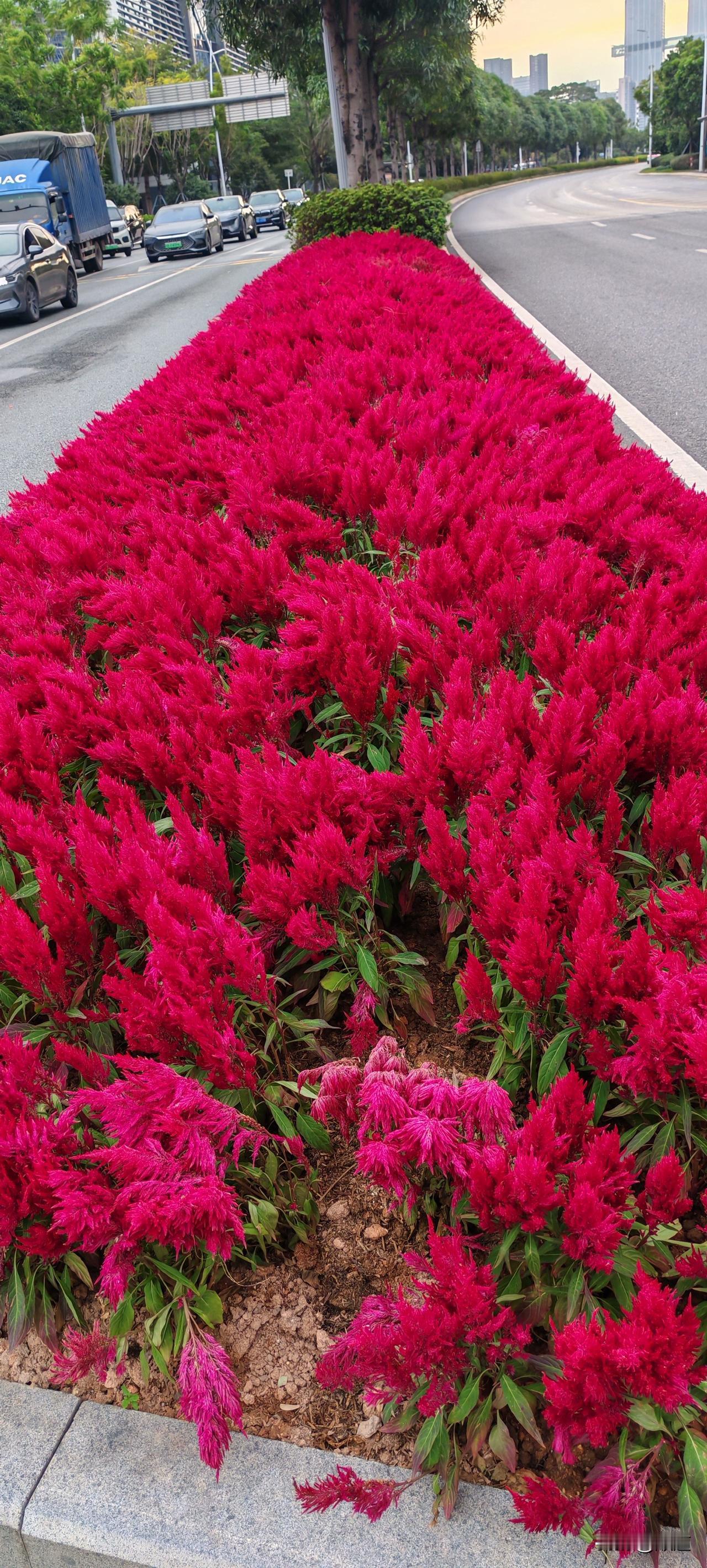 人生就是一场修行，你接受不了一件事情，并不是这件事有多么糟糕，而是你的修行还没到