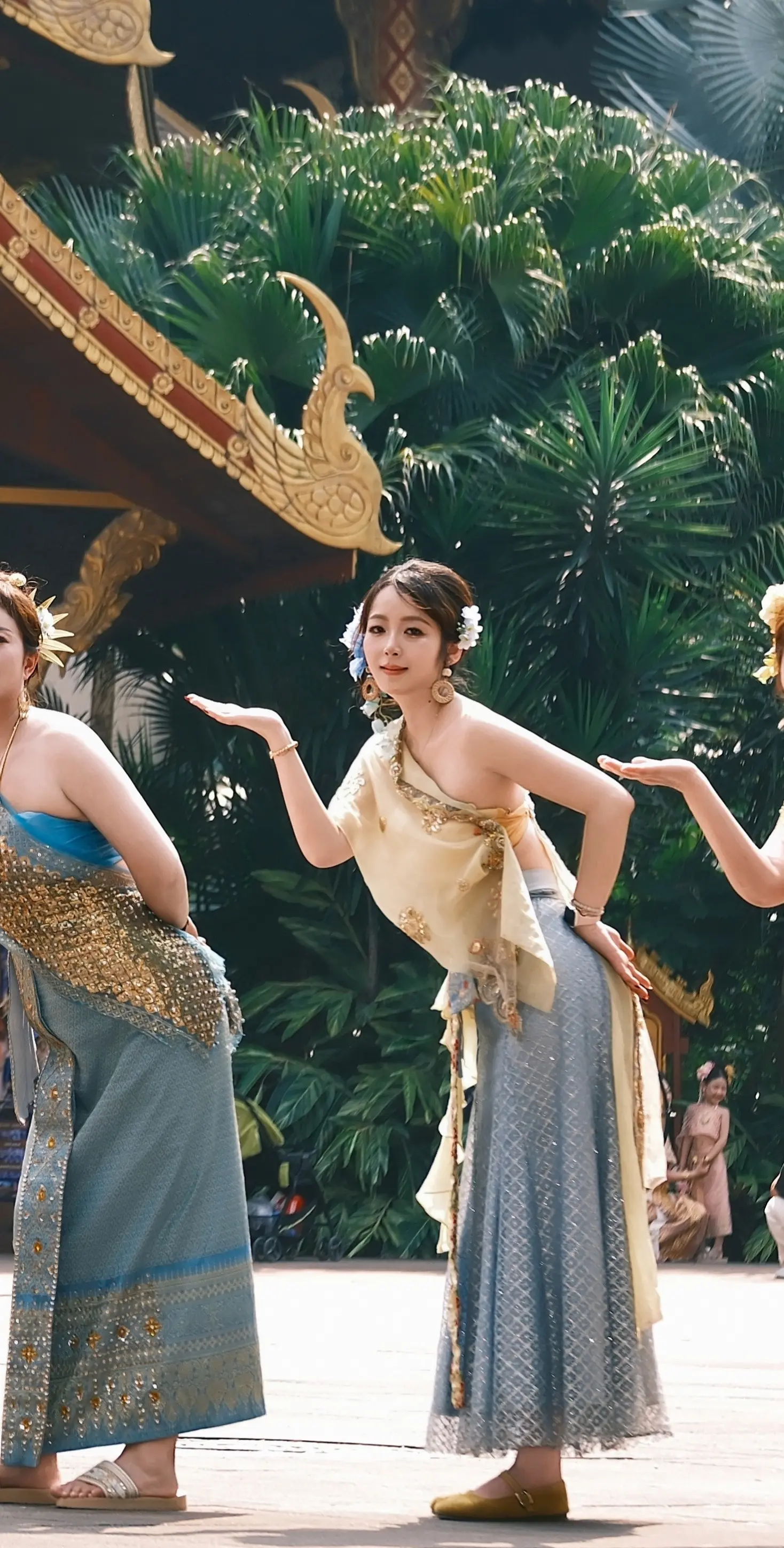 26年过的第一个夏天在版纳🌴