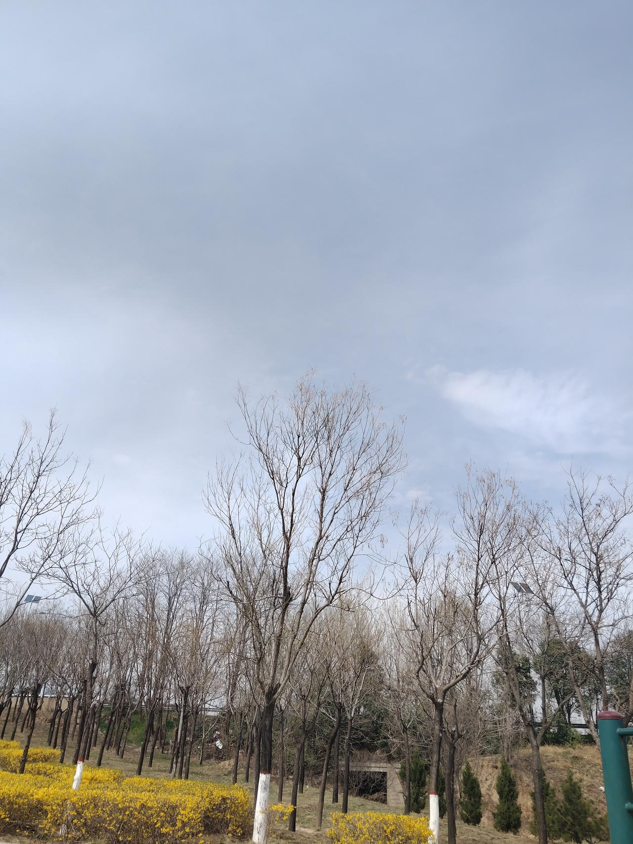 这些人不忌讳么？——在公园里锻炼。公园里有一些坟，坟在建公园之前就有了。看见几