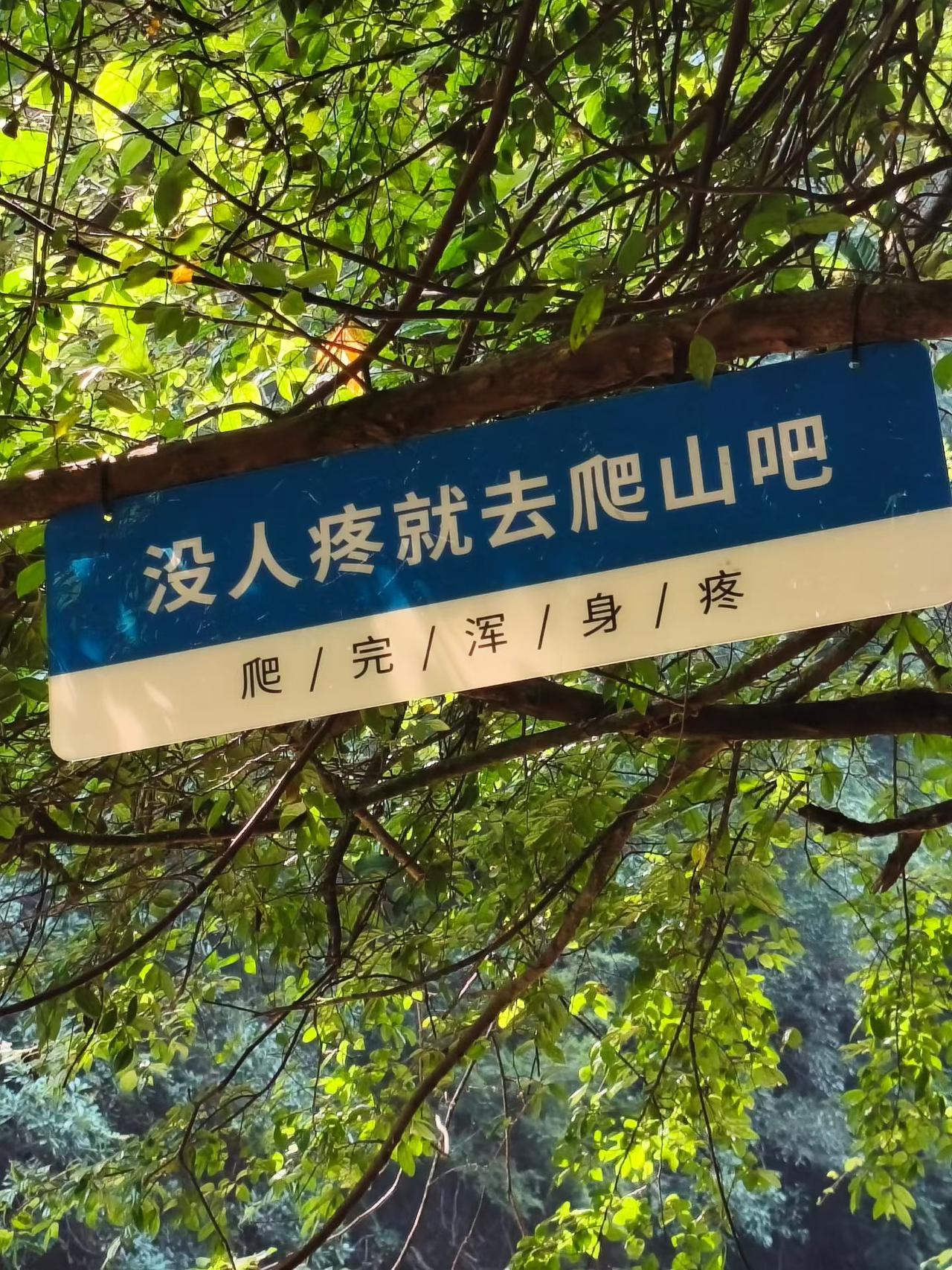 男人念念不忘的白月光全都是冷血无情的女人！为什么男人念念不忘的白月光，从来都