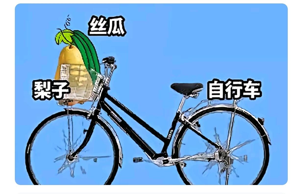 图中画面真给力；自行车来在展示；车筐还有大白梨；嫩的丝瓜也在那；谐音猜个