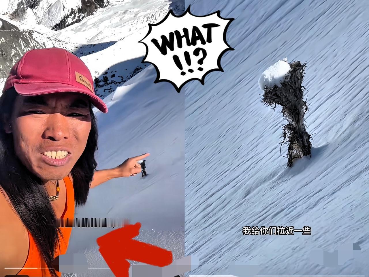 你敢信！西藏一哥们儿爬雪山，在6000米海拔那地方发现一株雪莲花，拍