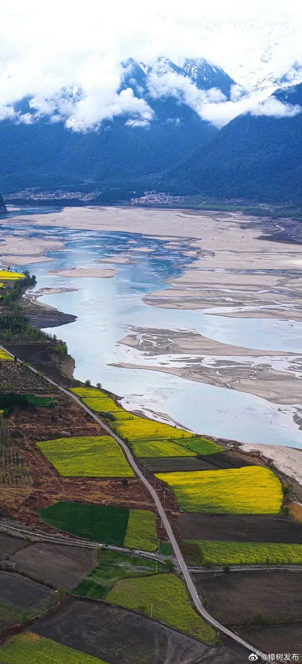 【无水印速存！一看就超治愈的春天壁纸】阳光正好，万物复苏。送你一组盛满春天味道的