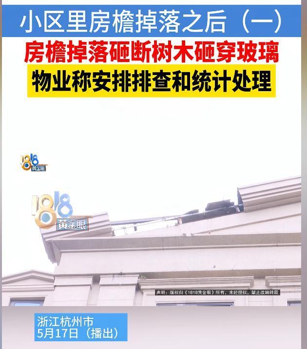 “太气人了！”浙江杭州，林女士一家出门游玩，却收到邻居发来的惊悚照片：自家院子里