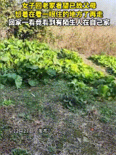 离谱到家了！这位女子父母去世后，自己在外打拼，老宅就一直闲置着，好不容易千里迢迢