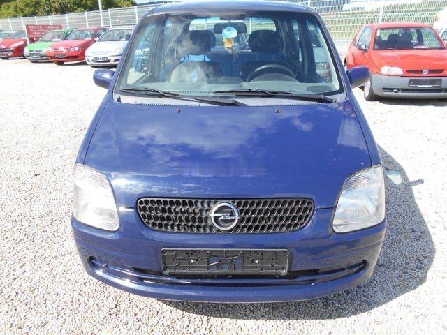 这个月的行情如果延续到三月份，可能很多4S店就要造冰卖马了~~~