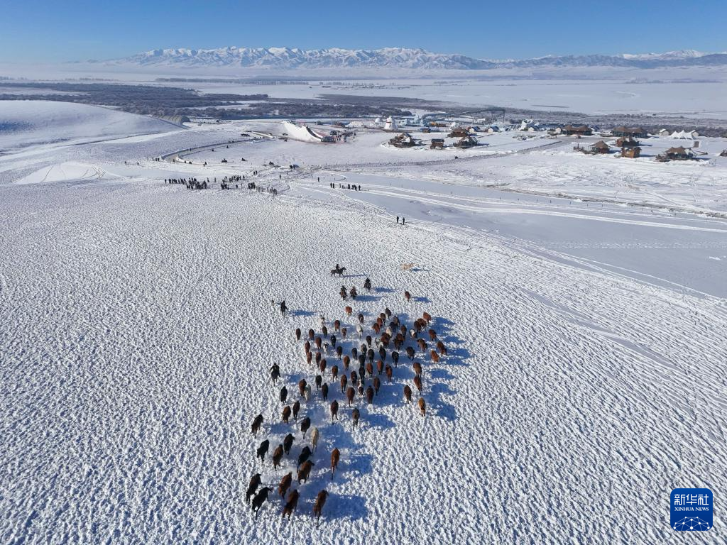 冰雪昭苏迎客来