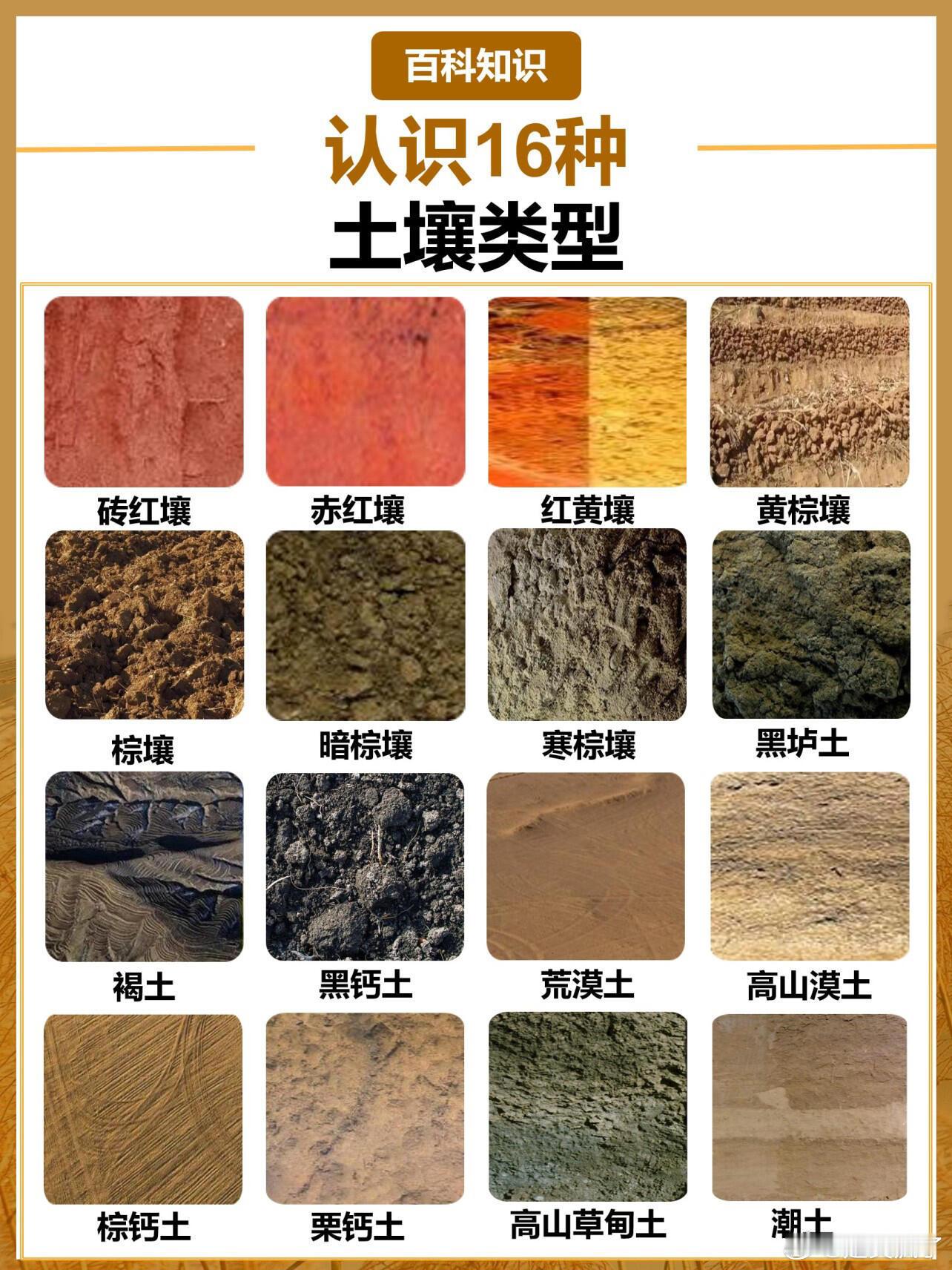认识16种不同的土壤类型土壤类型分布随地理位置、地形高度变化而呈有规律更替的现象