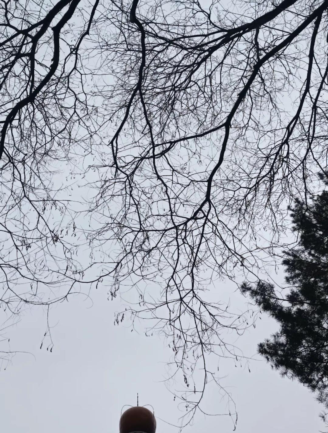 难道这就是天煞孤星？有一个同事是武汉的，三岁丧父，十岁丧母，爷爷，外公外婆在他