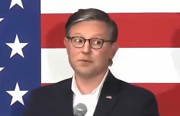 ​迈克约翰逊可以说是个非常成功的人物，作为美国众议长，他获得了特朗普的赏识，继续