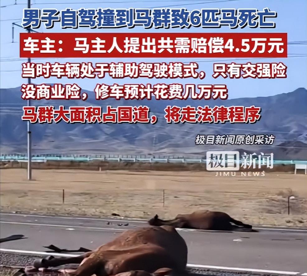 “都是辅助驾驶惹的祸！”男子一行四人从河南开着新能源车到西北自驾，途经218国