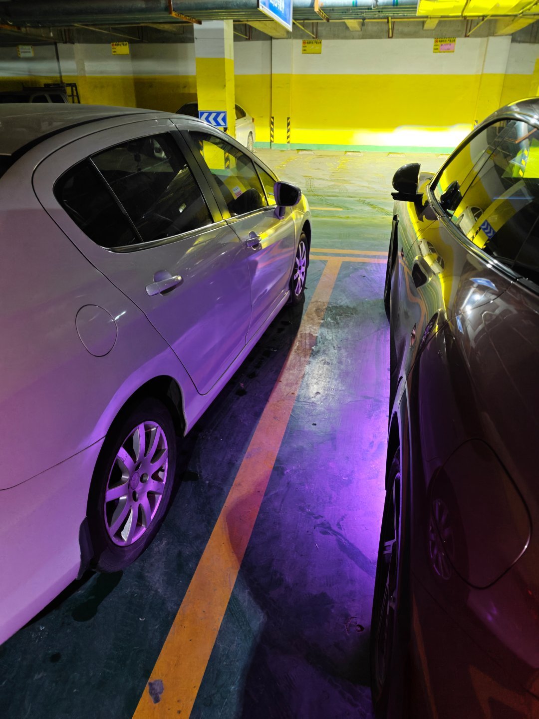 遇到这么停车的也是无语了