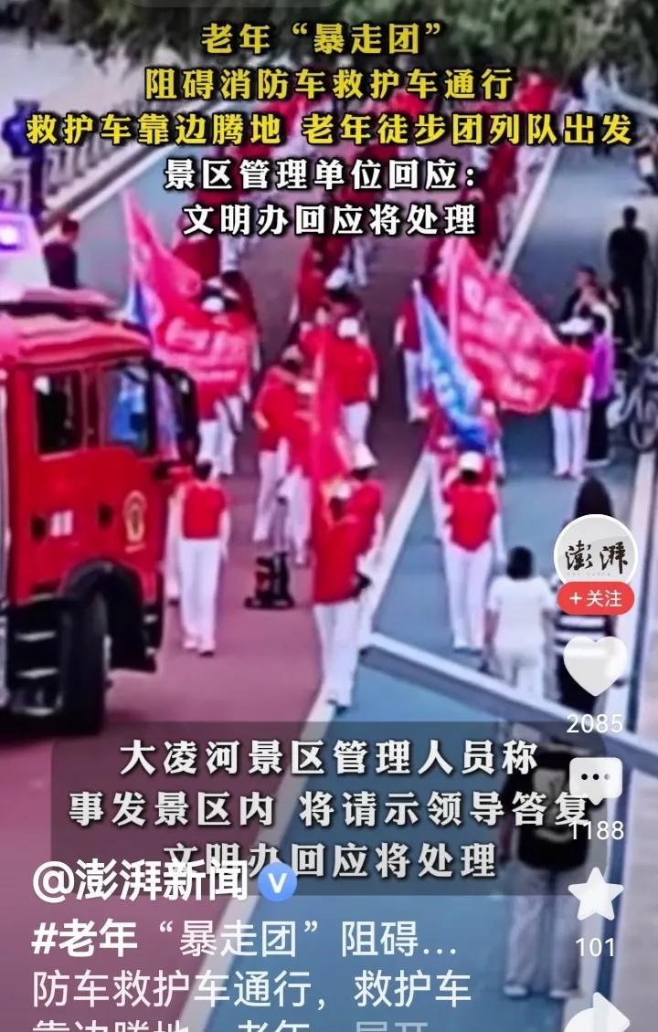 其实，这些暴走团他们什么都知道，他们知道人们很讨厌他们，但是又没有办法对付他们。